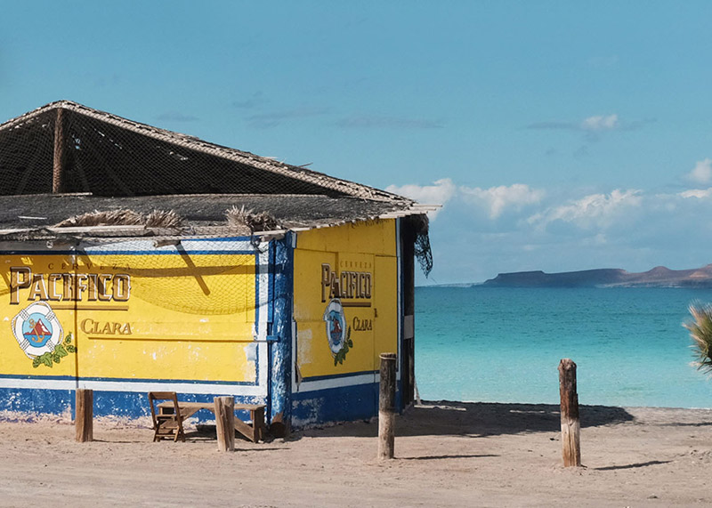 Welcome to Pacifico Store